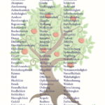 Tugend Plakat – Motiv Baum